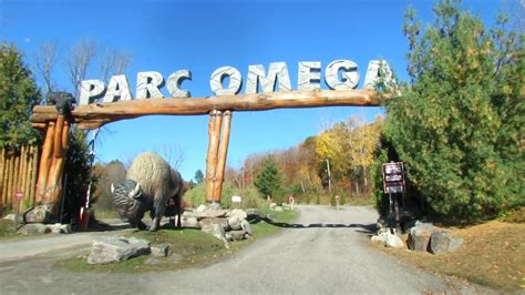 parc omega montebello qc canada|parc omega prices.